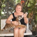 Baby Tiger Thailand Samui