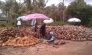 Coconut Farm - Samui Day tour to Koh Phangan