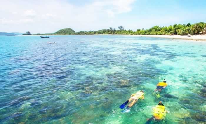 Snorkeling at Koh Madsum