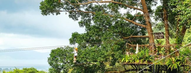 Samui Zipline Adventure